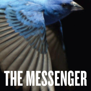 TheMessenger-Campaign-Card-Option1