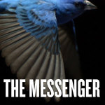 Messenger-icon-300x