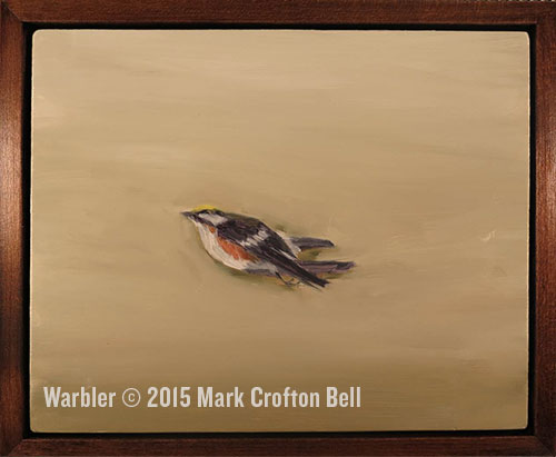 Warbler Mark Crofton Bell